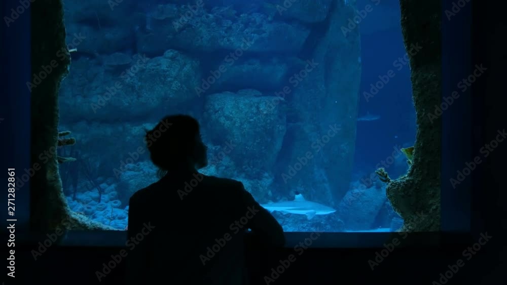 Woman stay near big aquarium tank, watching the fish. Tourism and entertaiment concept Woman stay near big aquarium tank, watching the fish. Tourism and entertaiment concept