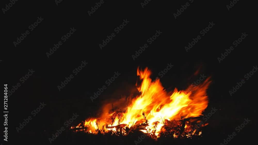 Burning fire. Bonfire. Closeup of flames burning on black background, slow motion Burning fire. Bonfire. Closeup of flames burning on black background, slow motion