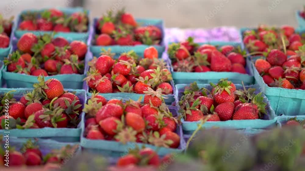 Dolly to right showing fresh strawberries in cardboard boxes at a farmers market. Dolly to right showing fresh strawberries in cardboard boxes at a farmers market.