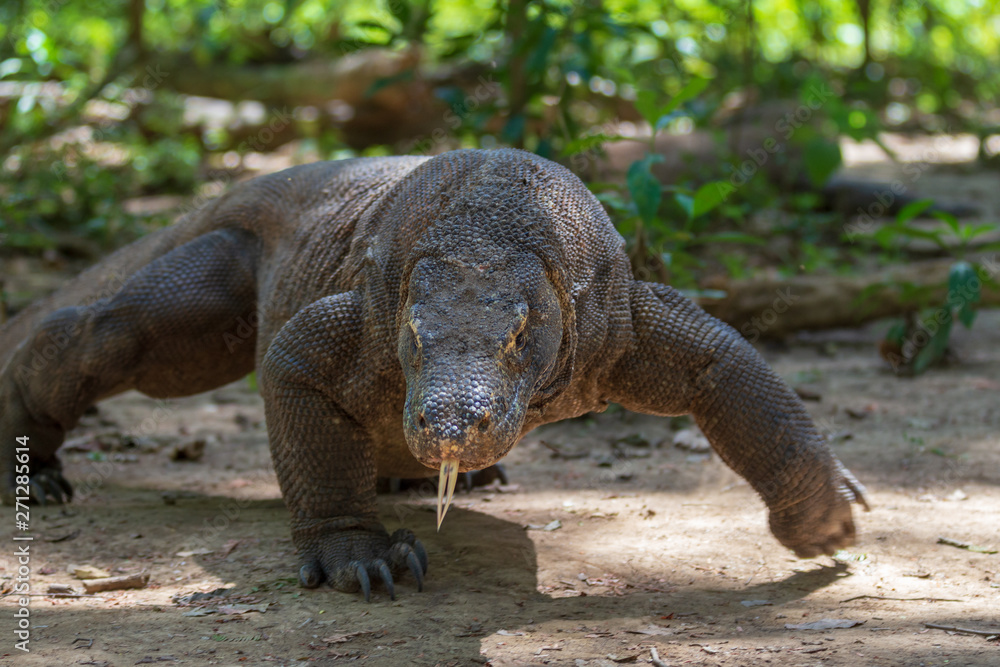 Obraz premium Indonesia