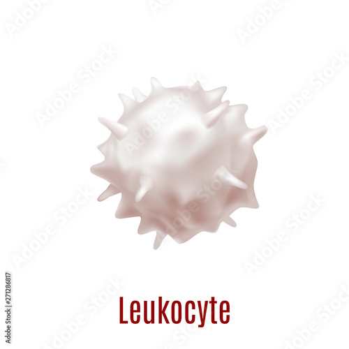 White Blood Cell Leukocyte in Realistic Style