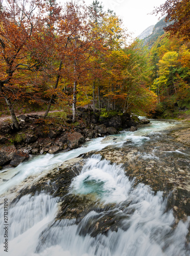 Autumn Landscape of Ordesa National Park in autumn with trees full of orange and yellow leaves