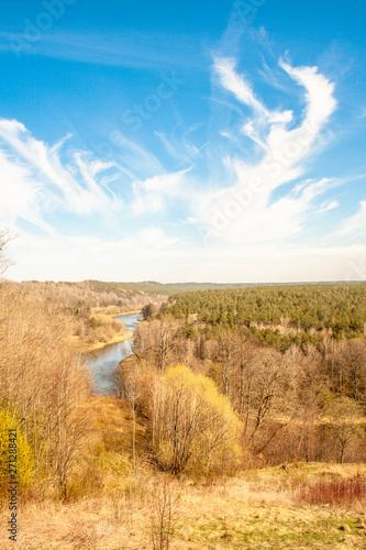 Beautiful landscape with forest, pine trees, oaks, river, sky and clouds  © Michele Ursi