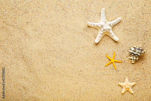 Starfishes and conch on beach sand