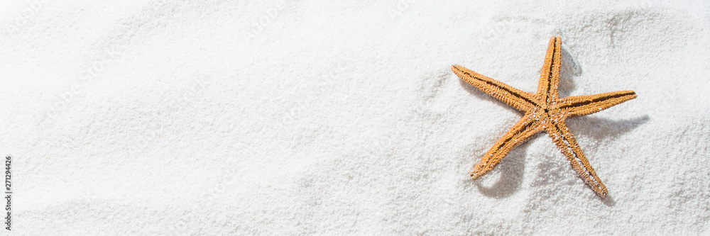 Starfish on white sand, for summer. Banner background with copy space Starfish on white sand, for summer. Banner background with copy space