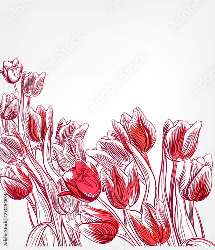 tulips vector card simple splash colorful sketch