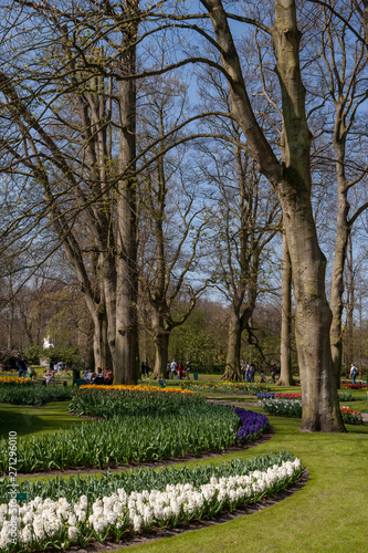 Dutch spring flowers Keukenhof Netherlands. Park © A