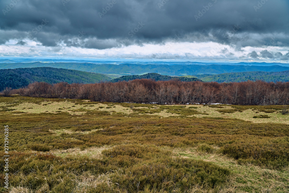 A beautiful panoramic mysterious view of the forest in the Bieszczady mountains (Poland) on a misty rainy spring May day, nature is lonely - without people