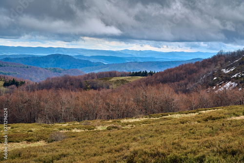 A beautiful panoramic mysterious view of the forest in the Bieszczady mountains (Poland) on a misty rainy spring May day, nature is lonely - without people