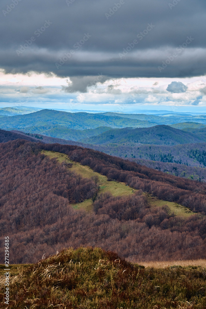 Naklejka premium A beautiful panoramic mysterious view of the forest in the Bieszczady mountains (Poland) on a misty rainy spring May day, nature is lonely - without people