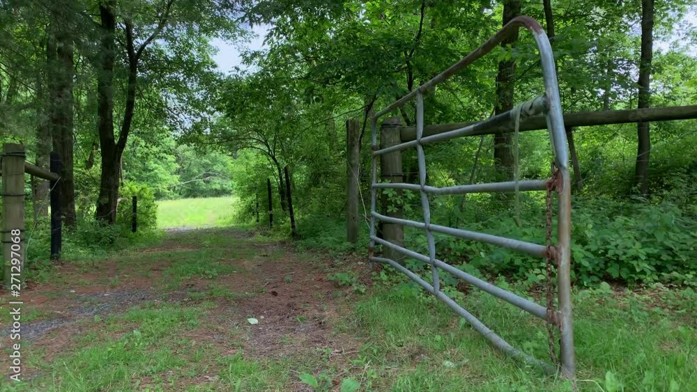 Open farm gate for horses tree covered Open farm gate for horses tree covered