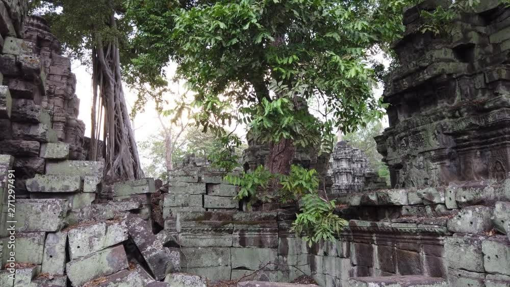 One of the most famous temples of Angkor, TA Prohm is known for its huge trees and roots growing from its walls. One of the most famous temples of Angkor, TA Prohm is known for its huge trees and roots growing from its walls.