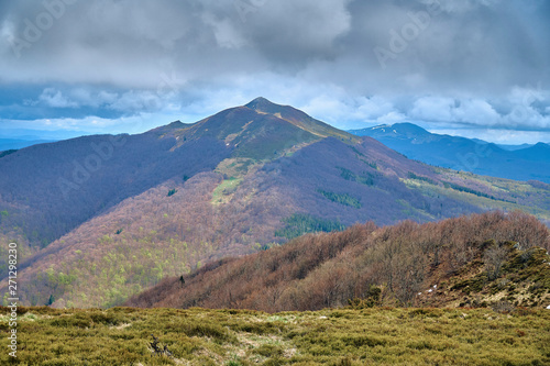 A beautiful panoramic mysterious view of the forest in the Bieszczady mountains (Poland) on a misty rainy spring May day, nature is lonely - without people