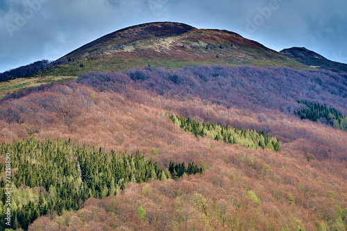 Fototapeta Naklejka Na Ścianę i Meble -  A beautiful panoramic mysterious view of the forest in the Bieszczady mountains (Poland) on a misty rainy spring May day, nature is lonely - without people