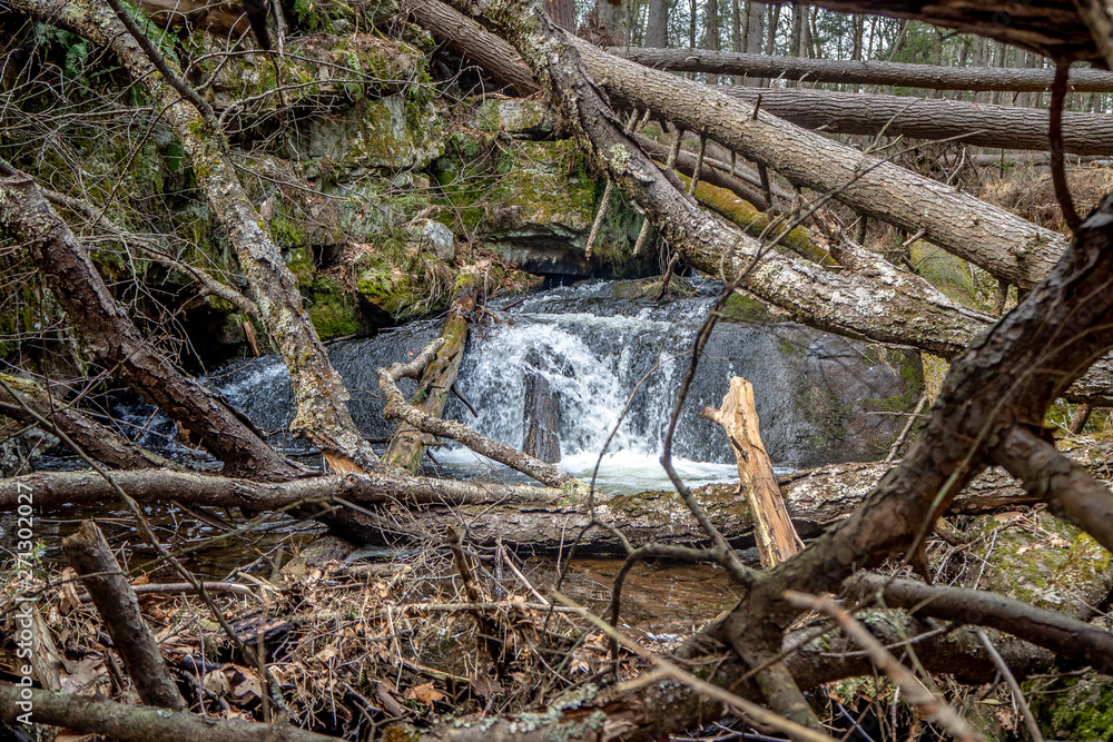 small waterfall through trees in forrest small waterfall through trees in forrest