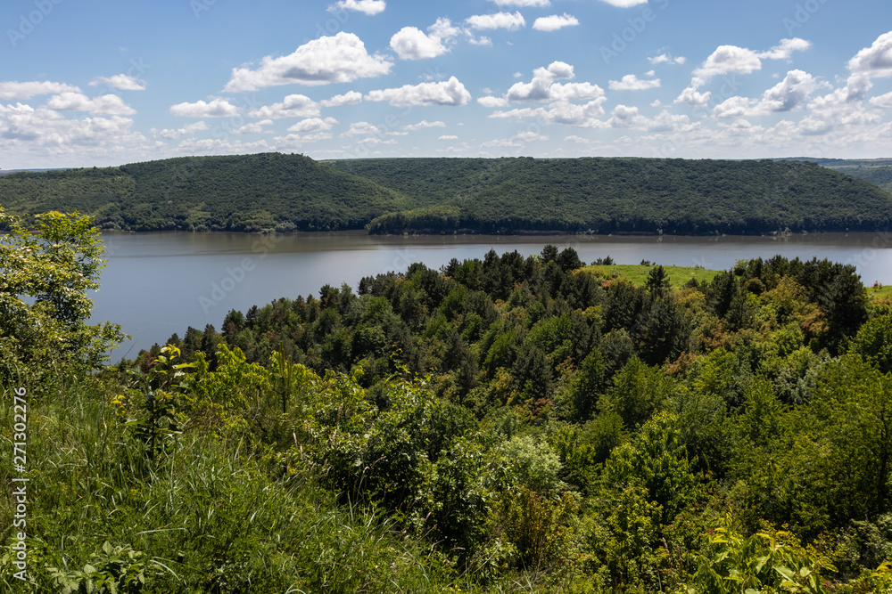 Obraz premium The narrow strip of water of the Dniester River is clamped between the high hills of the shores covered with green forest. Summer landscape. Ukraine.