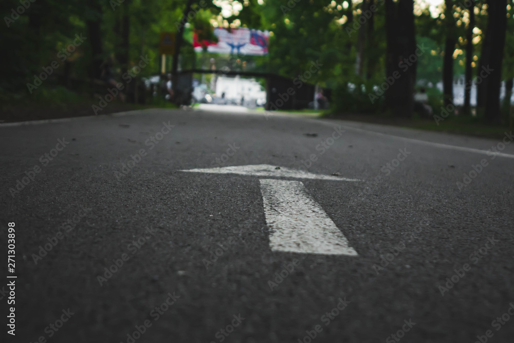 Obraz premium white arrow marked on the asphalt in the park, symbolizes the direction of movement