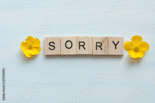 Photos Word sorry and flowers on blue background.