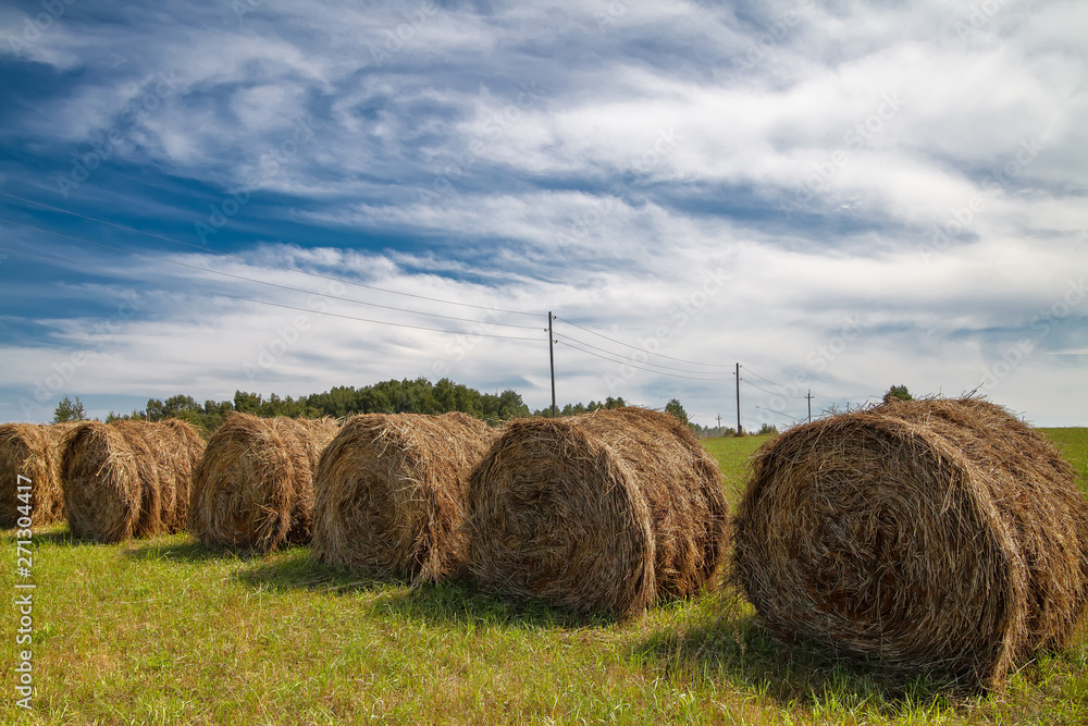 Hayfield. Hay harvesting Sunny autumn landscape. rolls of fresh dry hay in the fields. tractor collects mown grass. fields of yellow mown grass against a blue sky. Hayfield. Hay harvesting Sunny autumn landscape. rolls of fresh dry hay in the fields. tractor collects mown grass. fields of yellow mown grass against a blue sky.