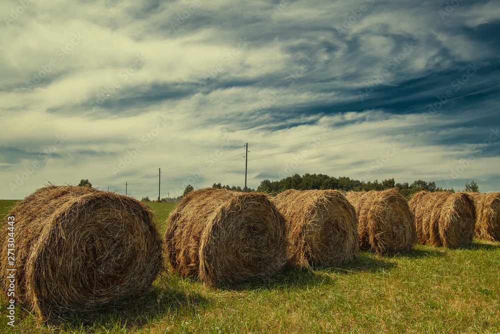 Hayfield. Hay harvesting Sunny autumn landscape. rolls of fresh dry hay in the fields. tractor collects mown grass. fields of yellow mown grass against a blue sky. Hayfield. Hay harvesting Sunny autumn landscape. rolls of fresh dry hay in the fields. tractor collects mown grass. fields of yellow mown grass against a blue sky.