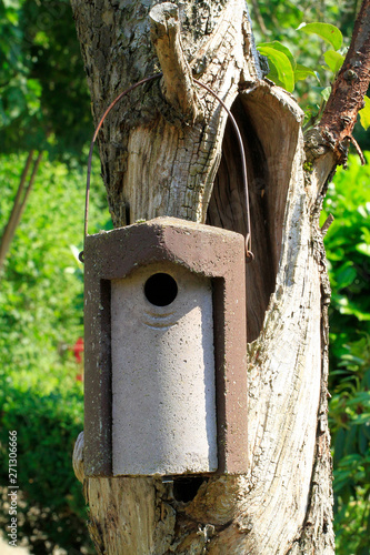 Titmouse, titmouse nesting box, Beckedorf, Lower Saxony, Germany, Europe photo