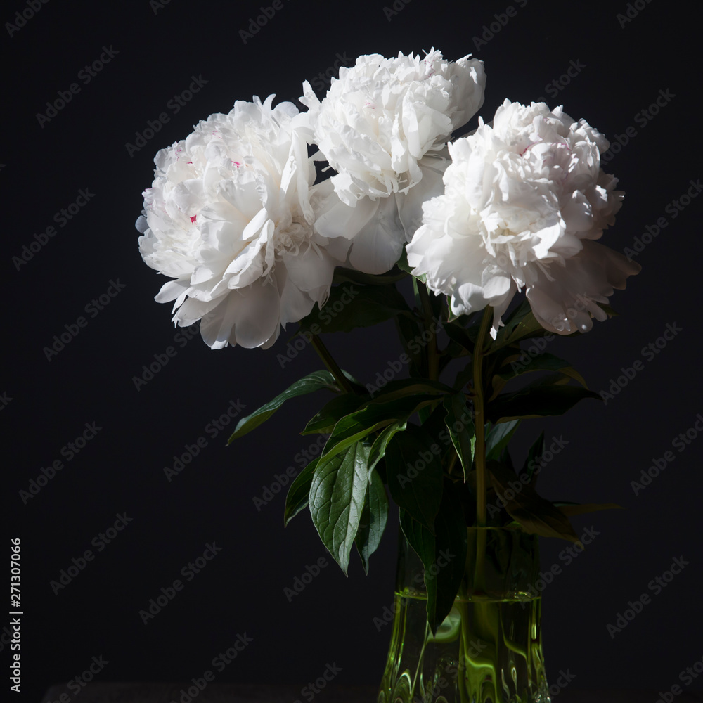 bouquet of white peonies in a transparent vase on a dark background bouquet of white peonies in a transparent vase on a dark background