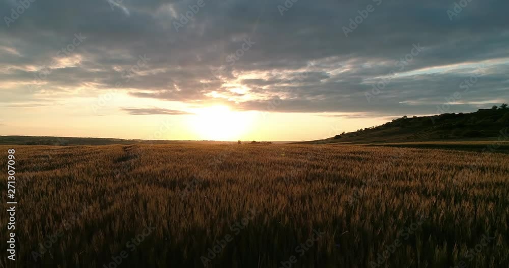 Sunset on the wheat field of the cloud. Arial Sunset on the wheat field of the cloud. Arial