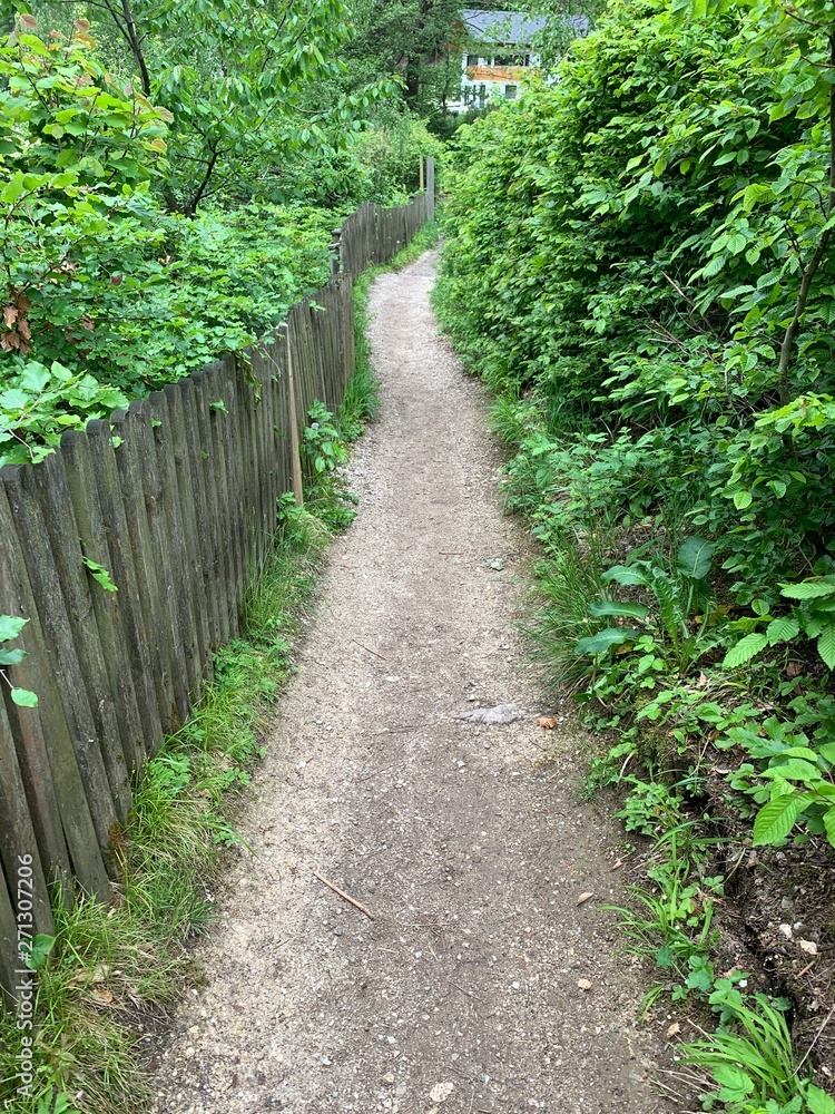 Obraz premium Fuschlsee Austria