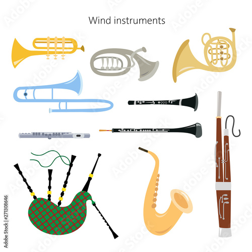 Set of wind instruments on the white background.