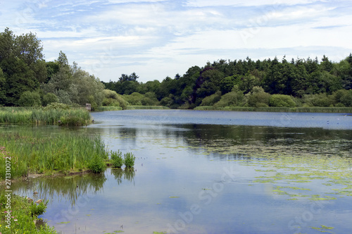 Warnham Nature Reserve