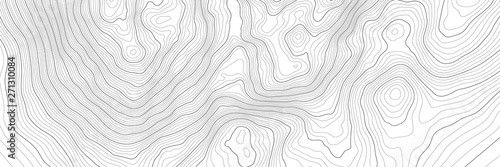 Canvas-taulu The stylized height of the topographic contour in lines and contours