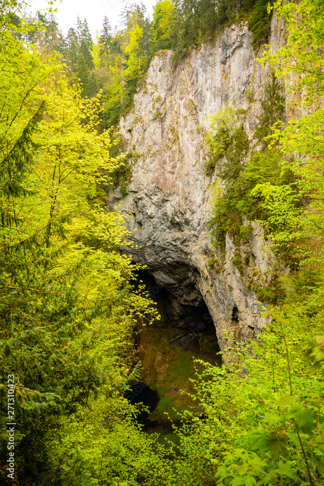 The Macocha Abyss with lake, sinkhole in the Moravian Karst cave system, Czech Republic The Macocha Abyss with lake, sinkhole in the Moravian Karst cave system, Czech Republic