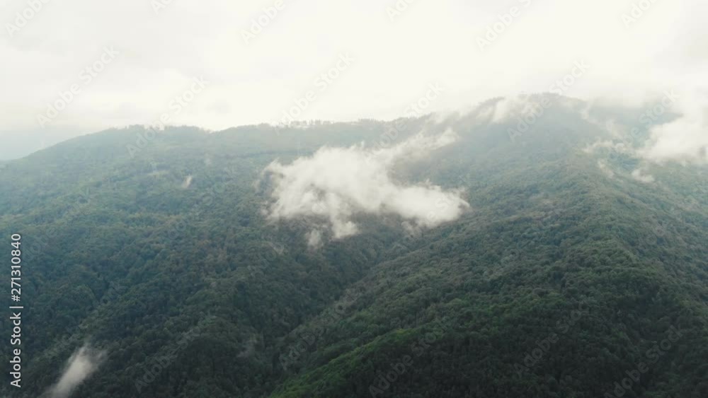 Flying over an amazing rain forest, aerial view above rain forest with fog at sunrise. 4K aerial video, rain forest landscape. Flying over the rainforest during cloudy weather Flying over an amazing rain forest, aerial view above rain forest with fog at sunrise. 4K aerial video, rain forest landscape. Flying over the rainforest during cloudy weather