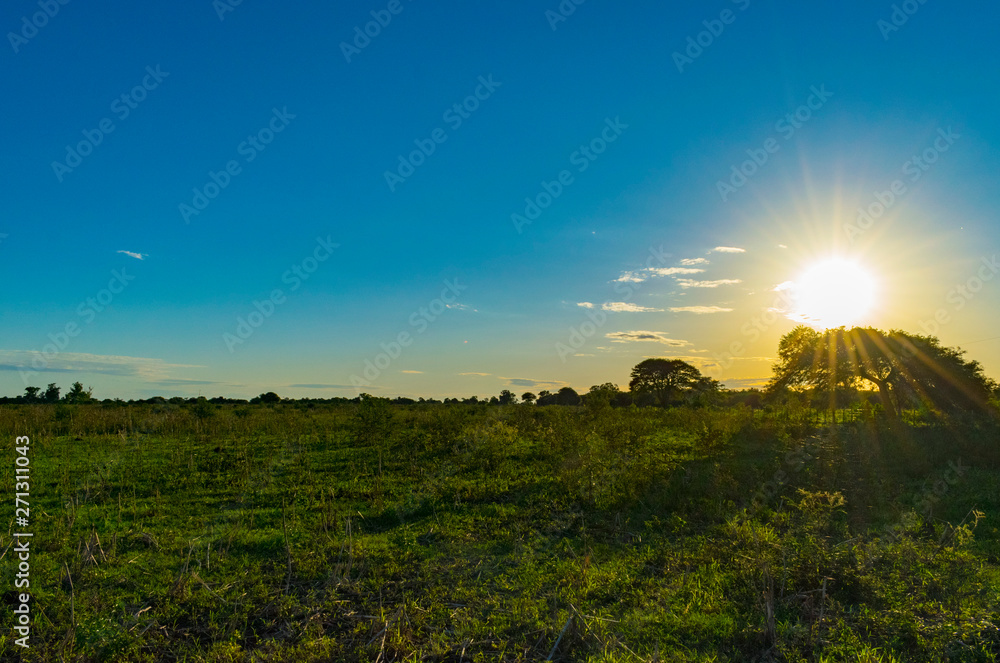 Paisajes de Campo, Chaco Argentino Paisajes de Campo, Chaco Argentino
