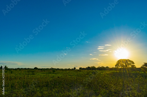 Paisajes de Campo  Chaco Argentino