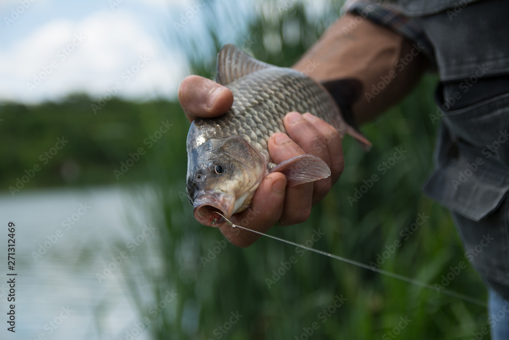 Obraz premium Fisherman with a freshly caught fish