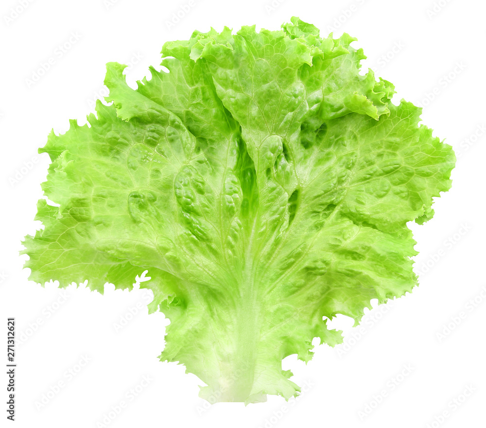 Lettuce leaf one view top isolated on white background with clipping path. Lettuce leaf one view top isolated on white background with clipping path.