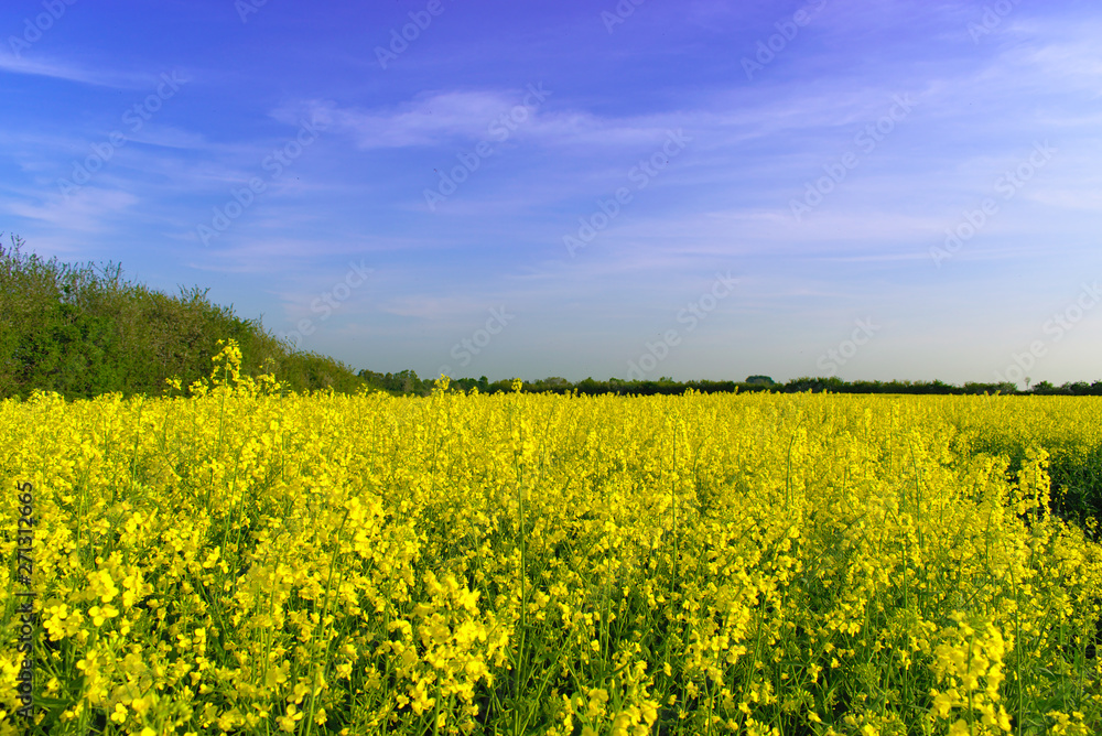 North germany landscape from ice age