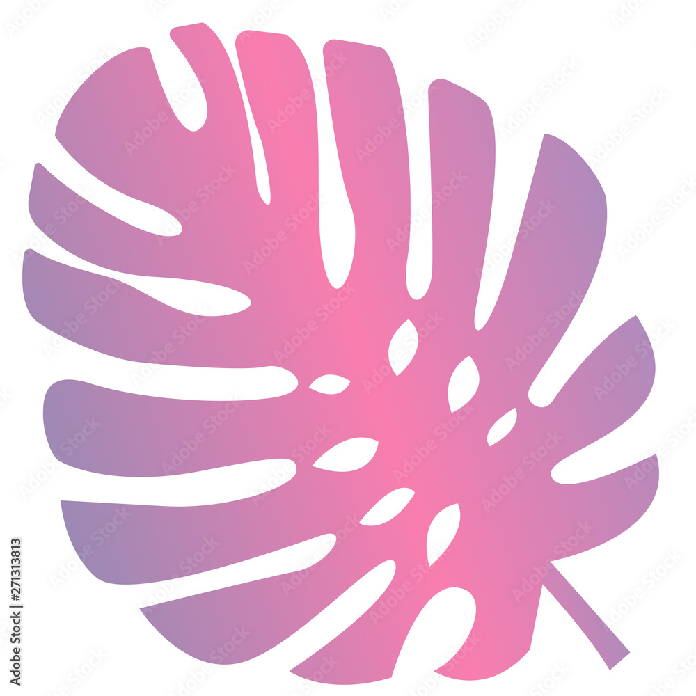Palm tropical leaves of the Monstera plant are pink in a fashionable style. For background or cards. Palm tropical leaves of the Monstera plant are pink in a fashionable style. For background or cards.