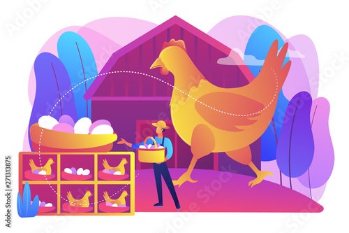 Poultry business, farming industry modern technology. Free run chicken and eggs, cage-free eggs, choose eggs from happy chickens concept. Bright vibrant violet vector isolated illustration