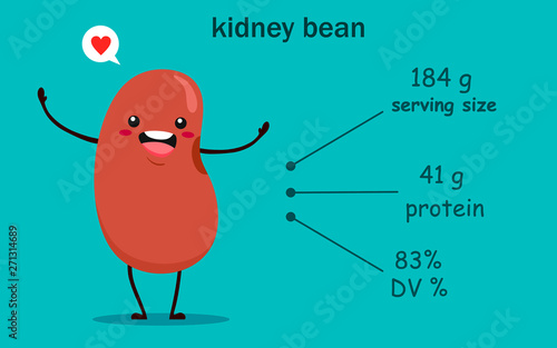 Beans in cartoon style with a description of proteins in specific grams. Red beans. Vector illustration on a turquoise background