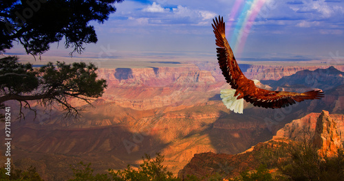 Eagle over Grand Canyon