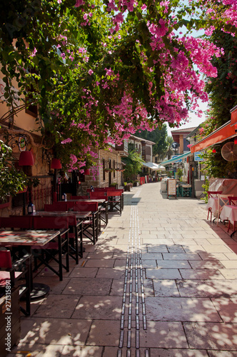 Beautiful pink flowers in Street of old town Kaleici in Antalya