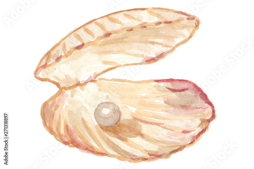 An open shell on the seashore with a wonderful pearl inside. Watercolor hand drawn illustration