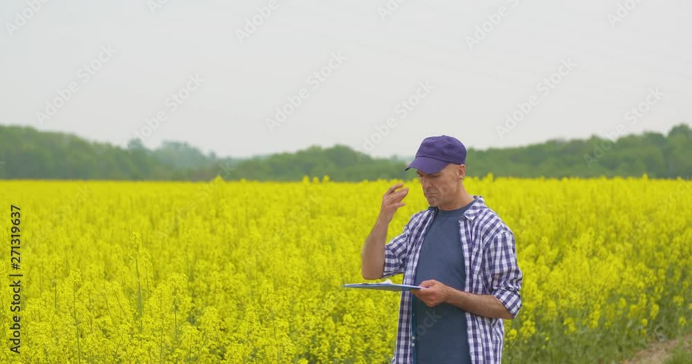 Farmer working at Farm Agriculture Farmer working at Farm Agriculture