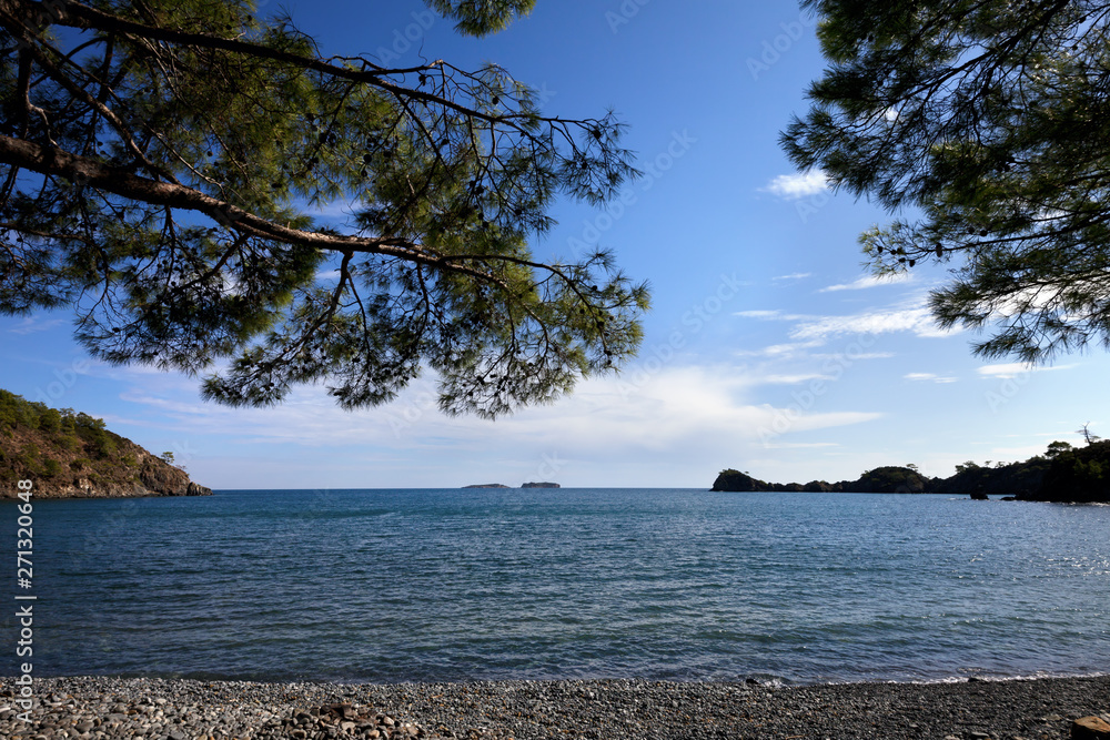 Calm bay and pebbly deserted beach with pine trees at summer Calm bay and pebbly deserted beach with pine trees at summer
