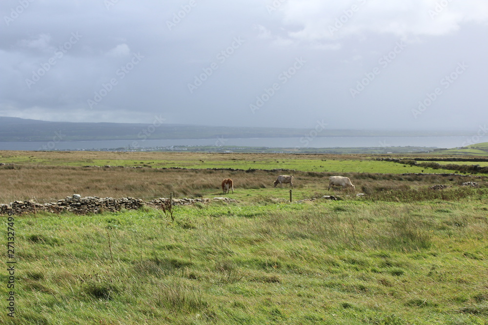 Beautiful cliffs of moher Ireland Beautiful cliffs of moher Ireland
