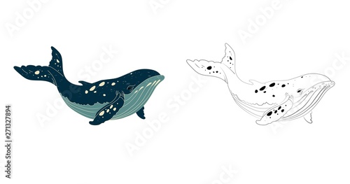 Blue whale isolated on white background. Linear hand drawing coloring silouette . Vector illustration
