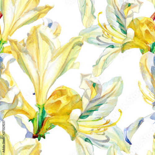 Watercolor seamless pattern of Azalea flowers.