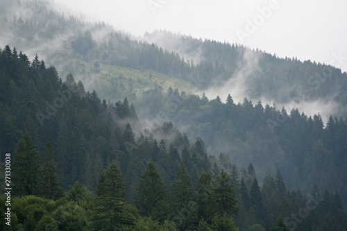 Fog over the forest in the mountains